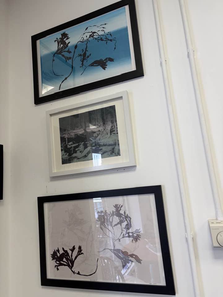 Framed botanical artworks displayed in Cafe Art